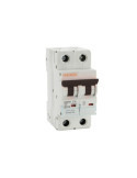 Disjoncteur Industriel 2P-10kA 10-63A Courbe C MAXGE