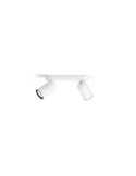 Plafonnier PHILIPS 2 Spots Pongee