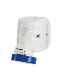 Prise Murale Étanche 16A IP67 Optima SCAME
