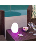 Lampe à Poser LED Portative Extérieure 2.5W Muna RGB avec Batterie Rechargeable