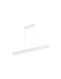 Suspension LED RGBW White Color Ensis 2x39W PHILIPS Hue