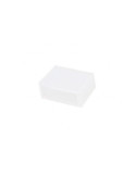 Embout pour Ruban LED 12V 120LED/m IP67
