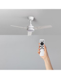 Ventilateur de plafond silencieux Extérieur Vacker 105cm Motor DC