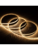 Ruban LED 24V DC SMD2835 120 LED/m 5m IP20  High Lumen 2000 lm/m Largeur 8 mm Coupe tous les 5 cm