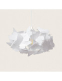 Suspension PS Lepke