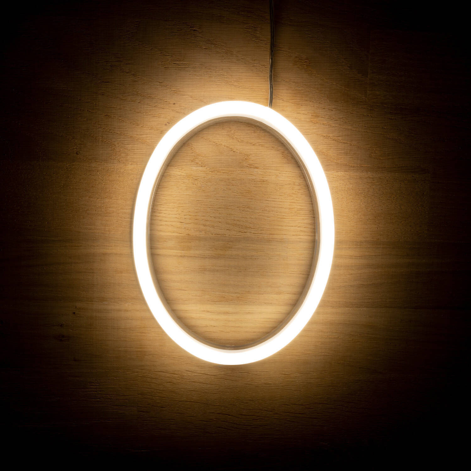 Numéros et Symboles Néons LED 0