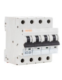 Disjoncteur Automatique Industriel MAXGE 4P-10kA 10-63A