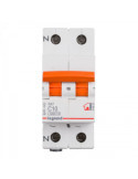 Disjoncteur Magnétothermique Résidenciel 1P+N 6kA 10-40A Courbe C RX³ LEGRAND 419925