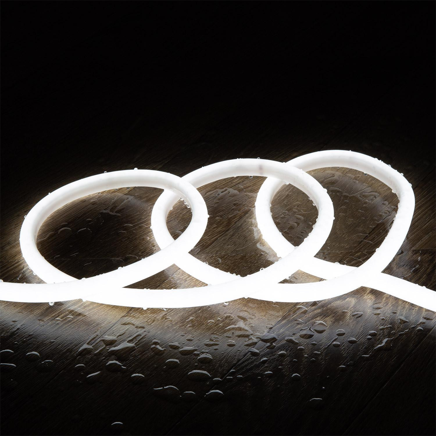Ruban Néon LED Dimmable 220V AC Circulaire SFLEX14 IP65 coupe tous les 100cm 2 m Blanc froid