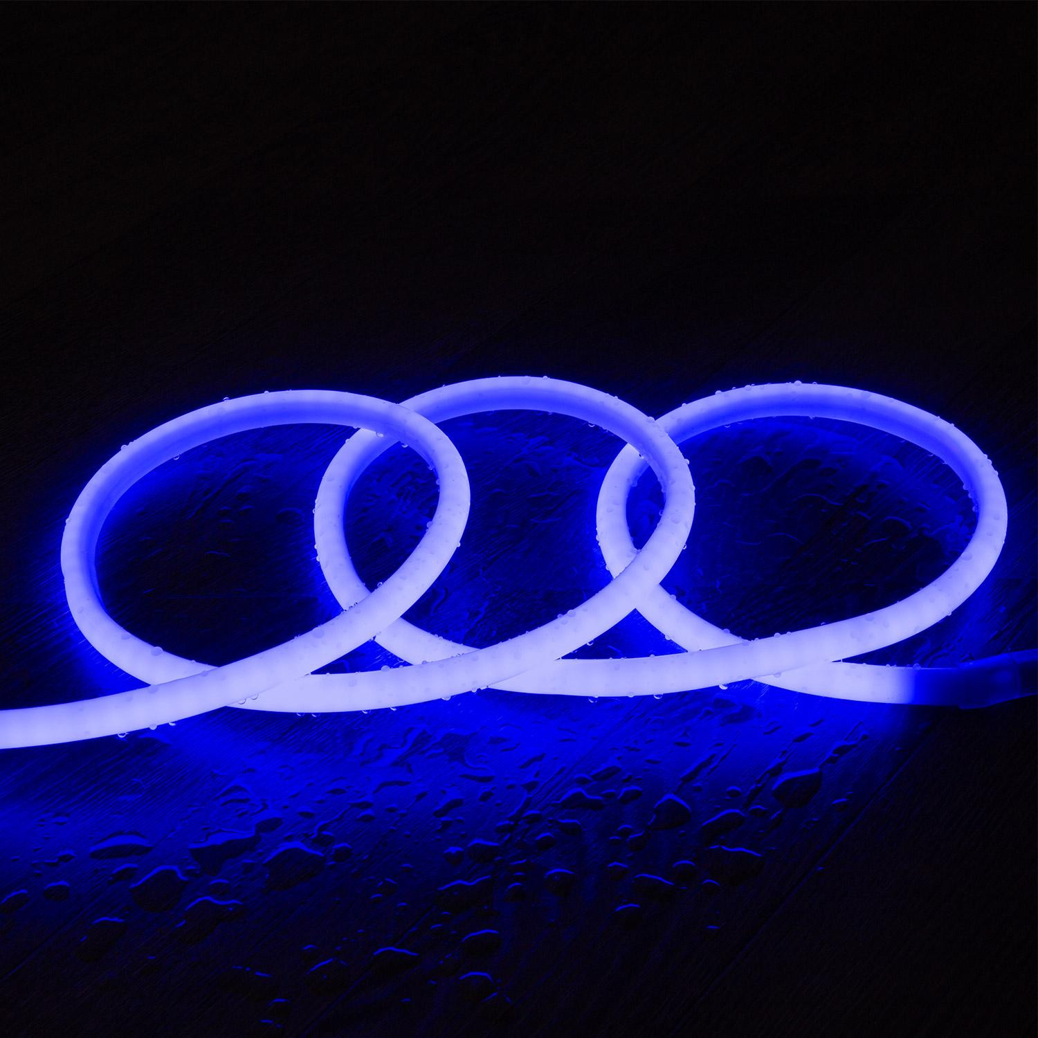 Ruban Néon LED Dimmable 220V AC Circulaire SFLEX14 IP65 coupe tous les 100cm 7 m Bleu