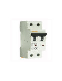 Disjoncteur Résidentiel 2P-6kA 6-40A Courbe C MAXGE