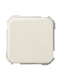 Interrupteur Simple avec Touche SIMON 31 31101