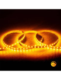 Ruban LED 24V DC Dimmable SMD2835 140LED/m 5m IP20 Largeur 10mm Coupe tous les 100cm Dim to Warm
