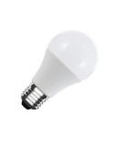 Ampoule LED 12/24V E27 6W 480 lm A60
