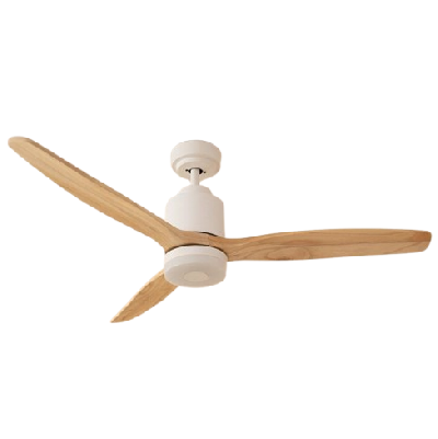 Ventilateurs de plafond